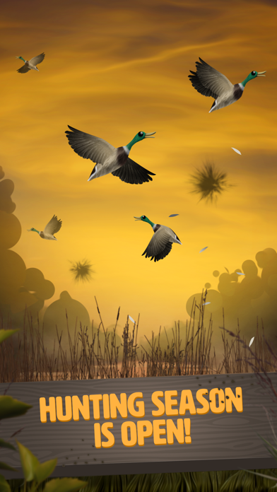 Duck Dynasty: Battle of the Beards