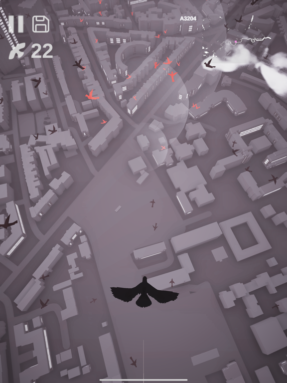 Pigeon: A Love Story