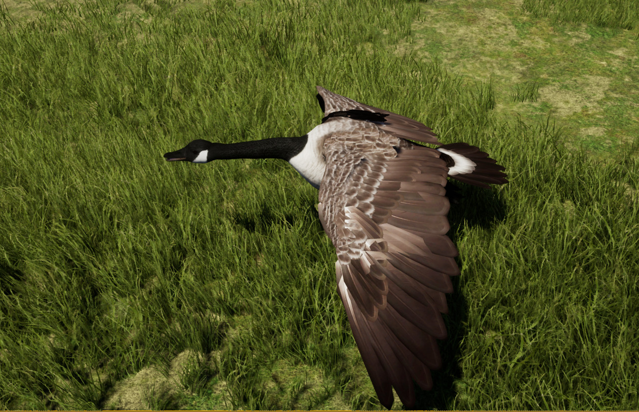 Wilderness Survival: The Conservationist