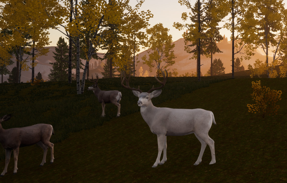 Wilderness Survival: The Conservationist