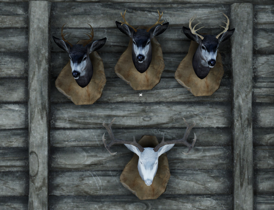 Wilderness Survival: The Conservationist