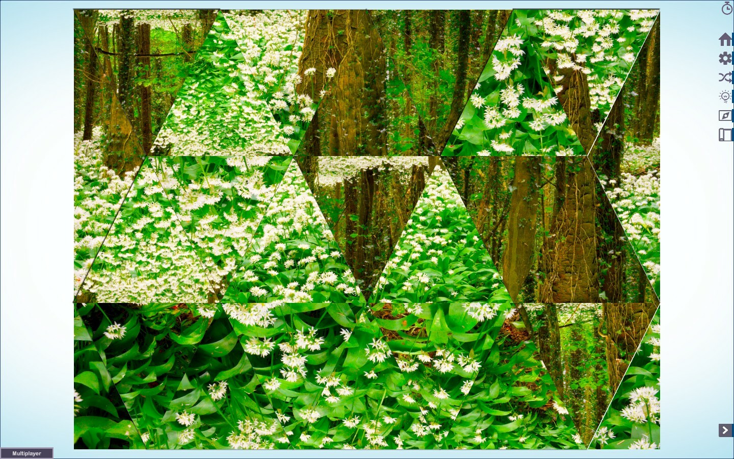 Let’s Play Jigsaw Puzzles