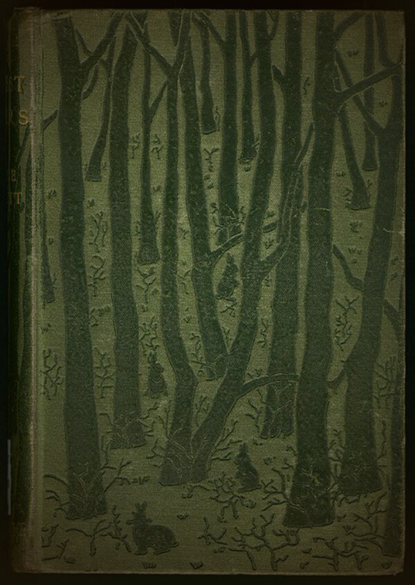 The Thief, the Witch, the Toad, and the Mushroom.