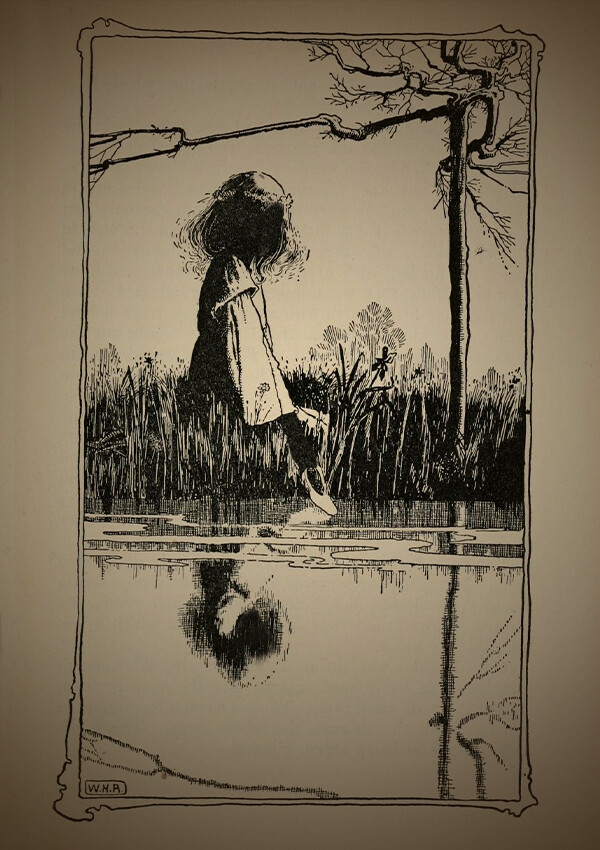 The Thief, the Witch, the Toad, and the Mushroom.