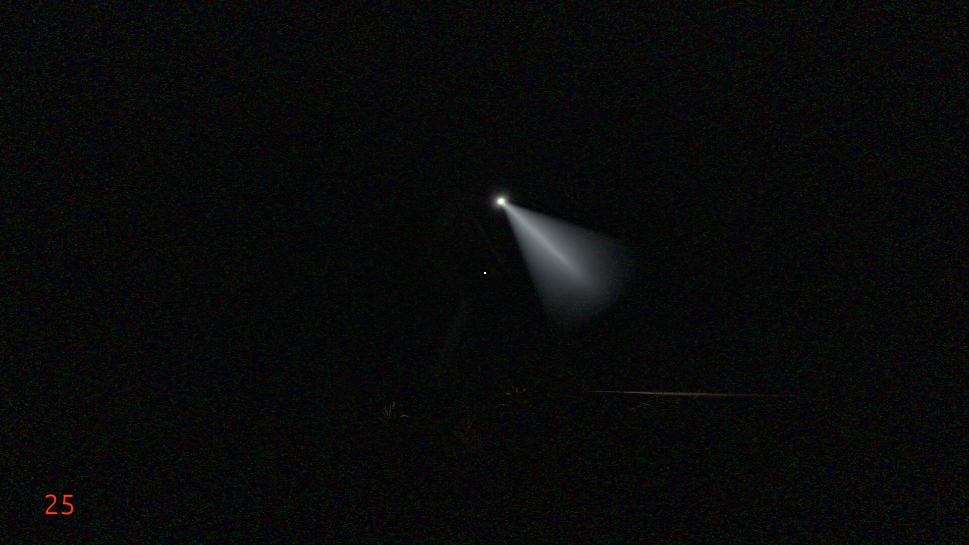 Fog Horror