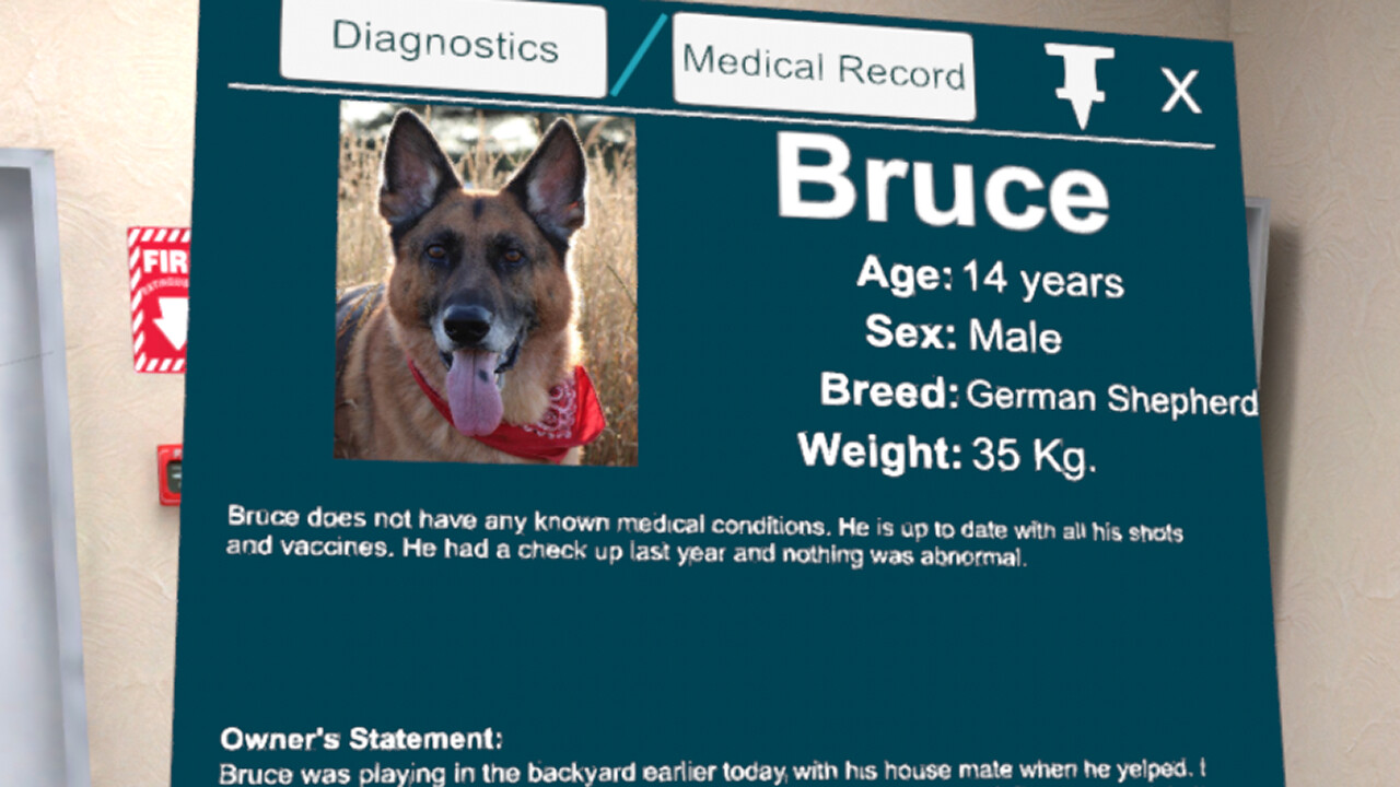 VetVR: Veterinary Simulator