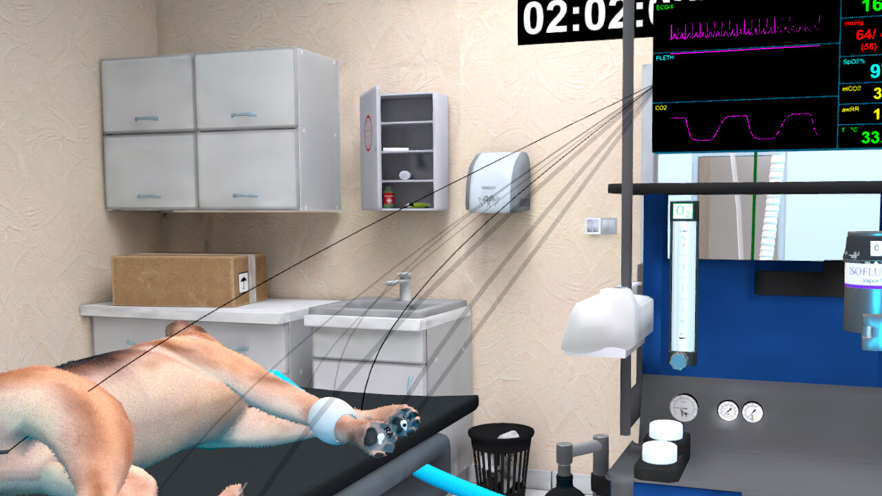 VetVR: Veterinary Simulator
