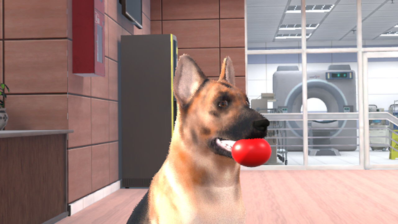 VetVR: Veterinary Simulator