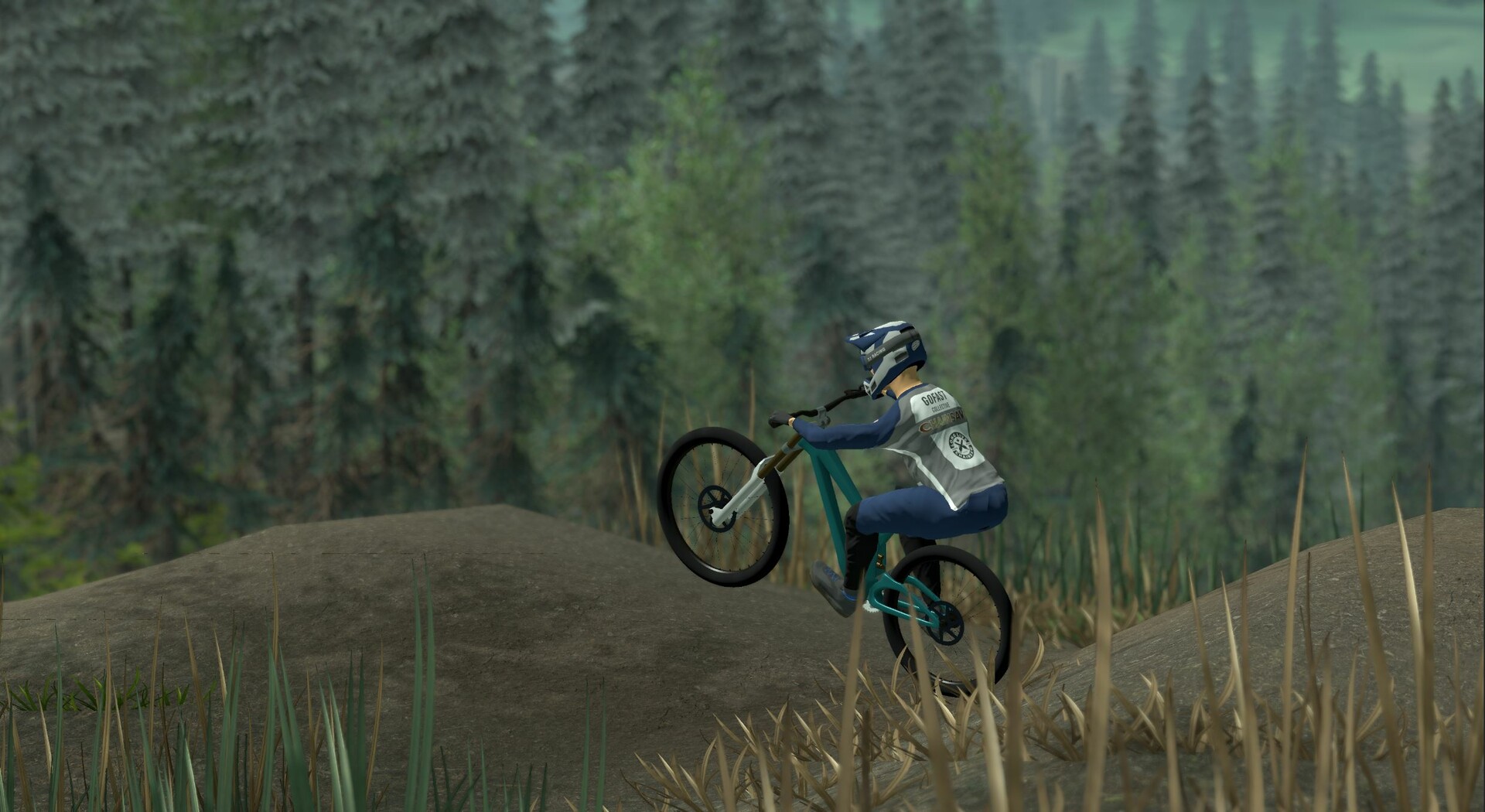 Downhill Pro Racer