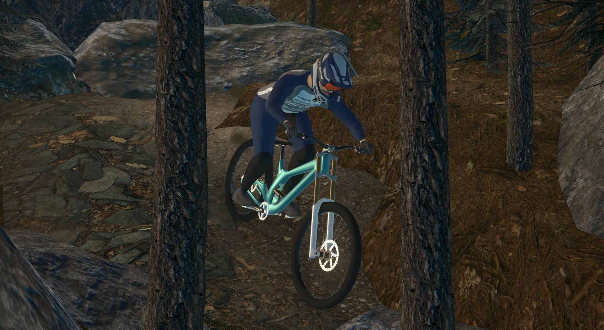 Downhill Pro Racer