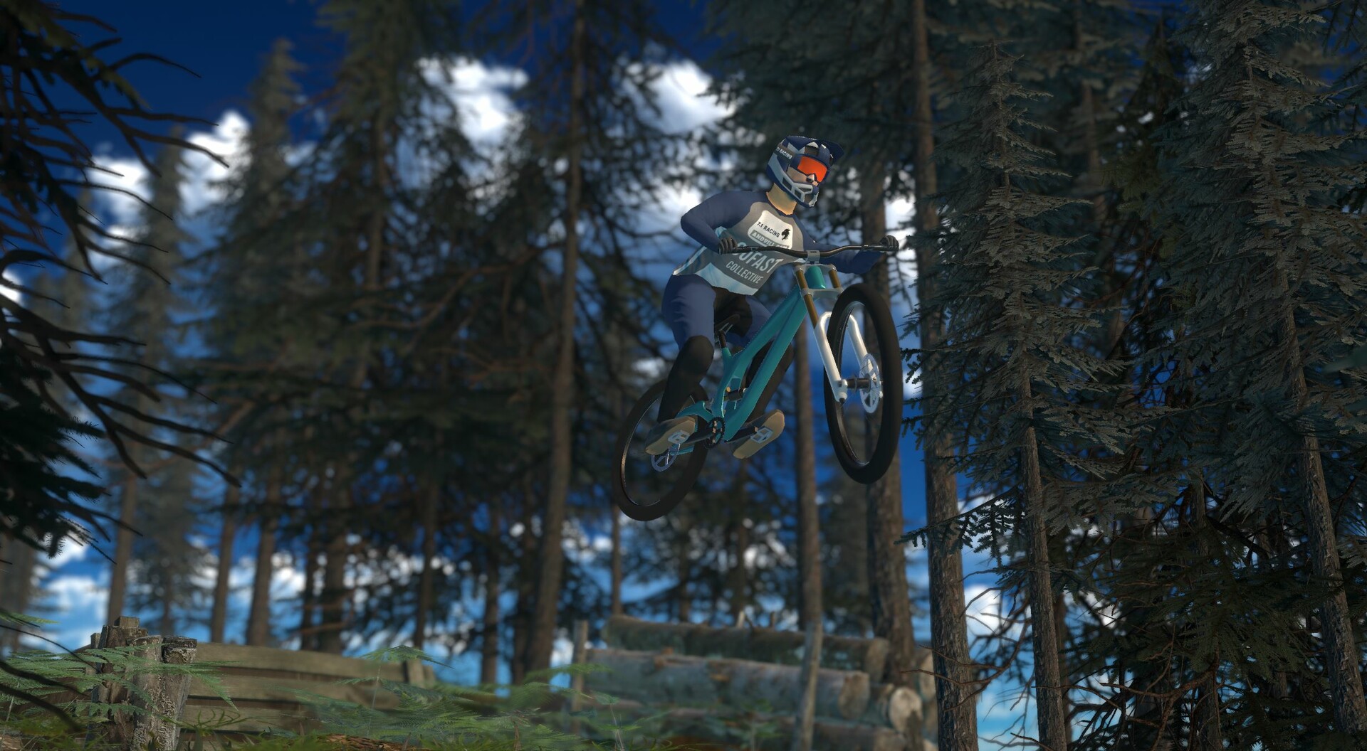 Downhill Pro Racer