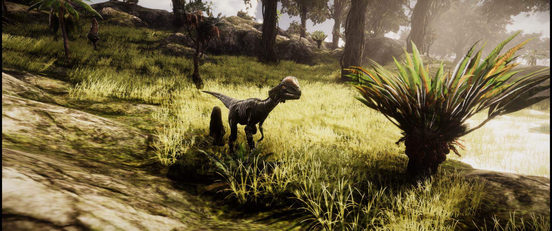 Dinosaur Simulator