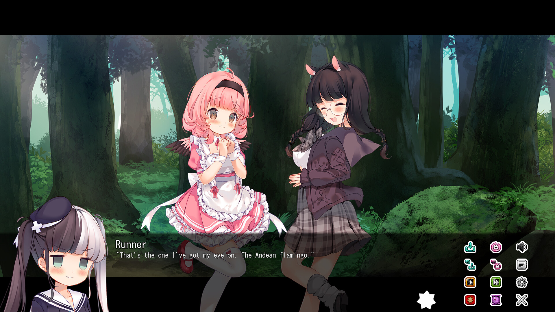 Red List Girls: Andean Flamingo