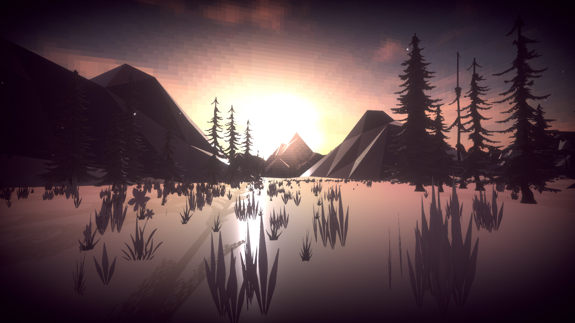 Last Dawn