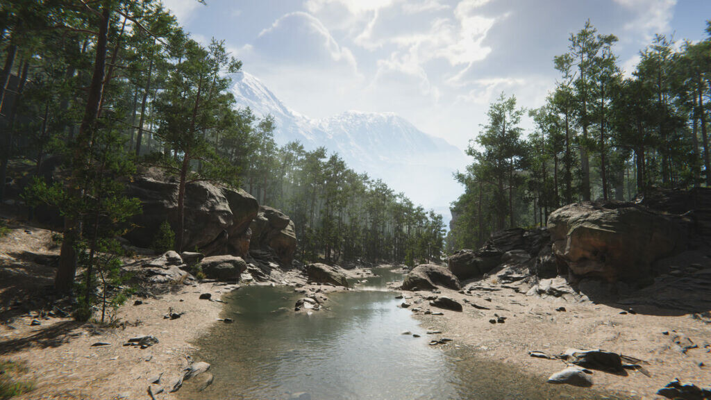 Mushroom Collector Simulator