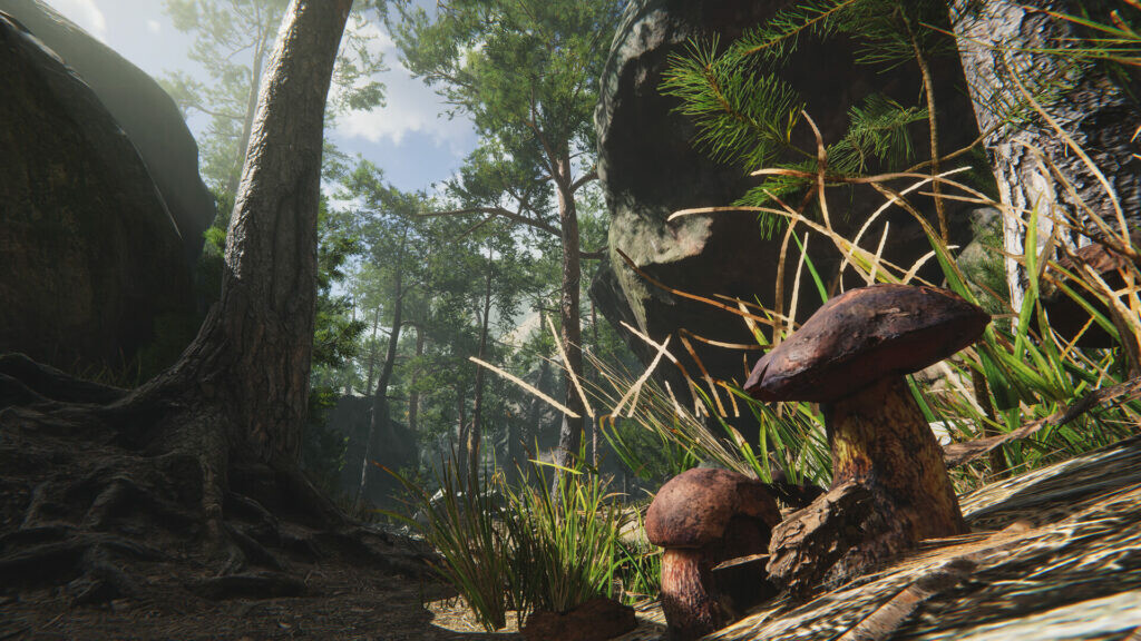 Mushroom Collector Simulator