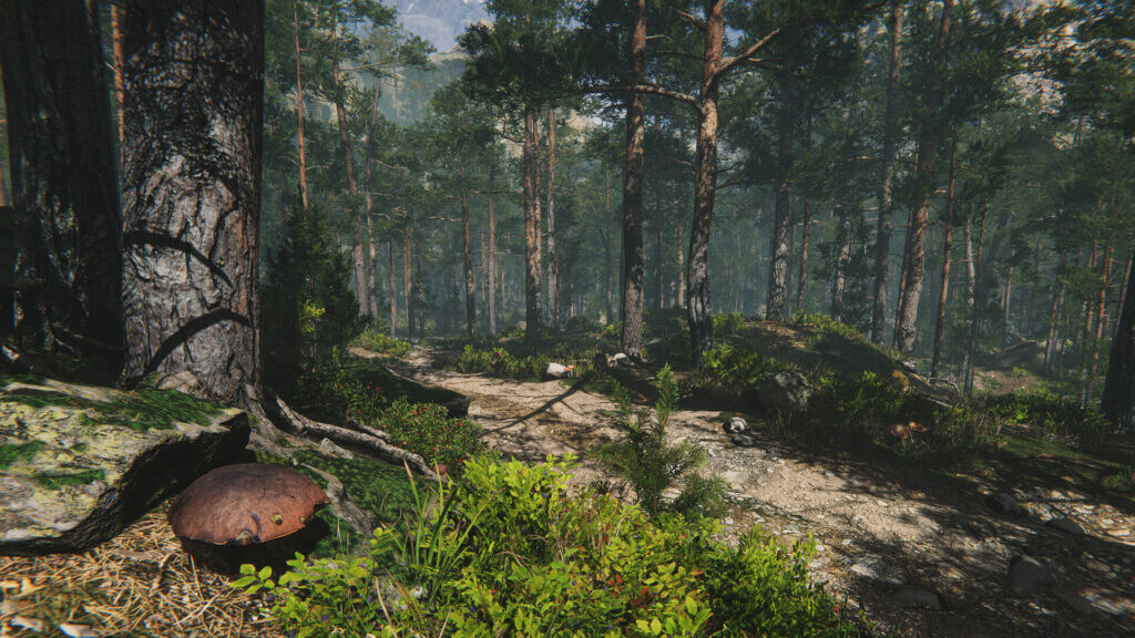 Mushroom Collector Simulator