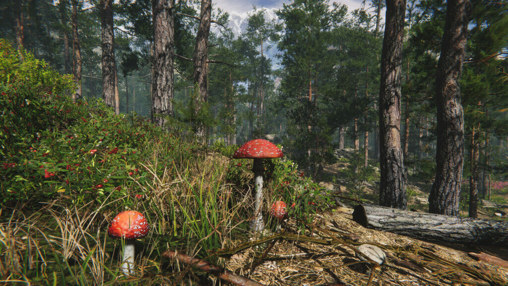 Mushroom Collector Simulator