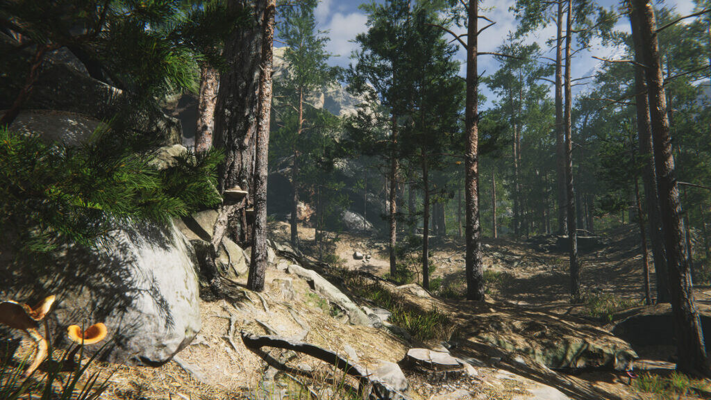 Mushroom Collector Simulator