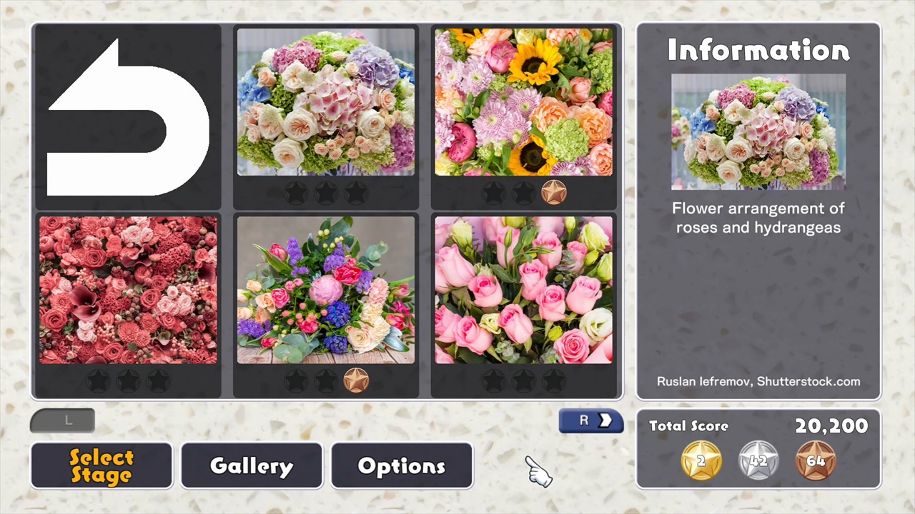 Jigsaw Masterpieces: Flower Arrangement