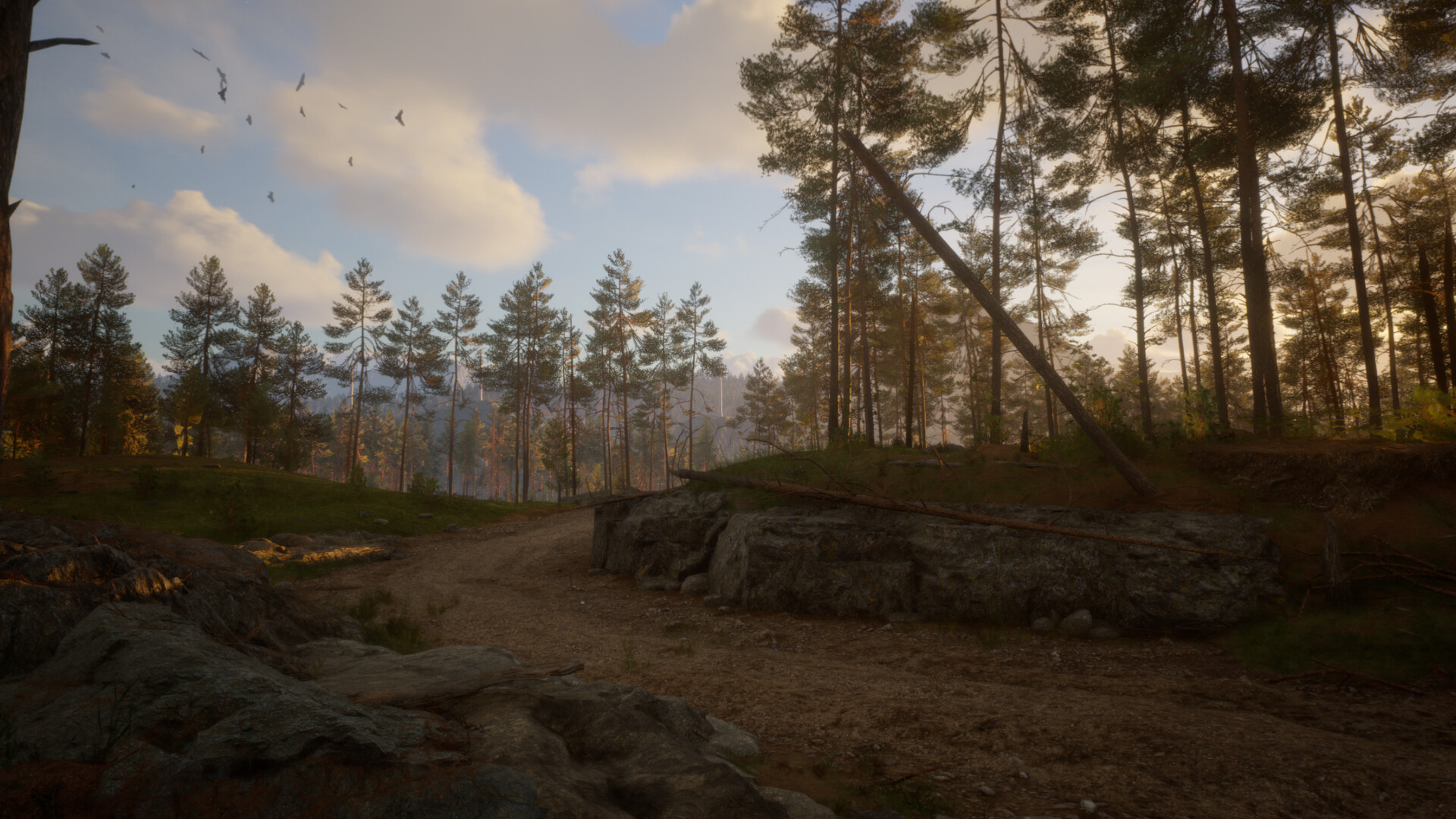 Across the Wilds