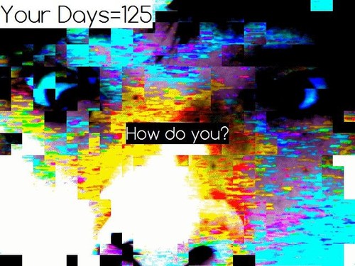 I.R.P. Intelligent Rackety Paradise