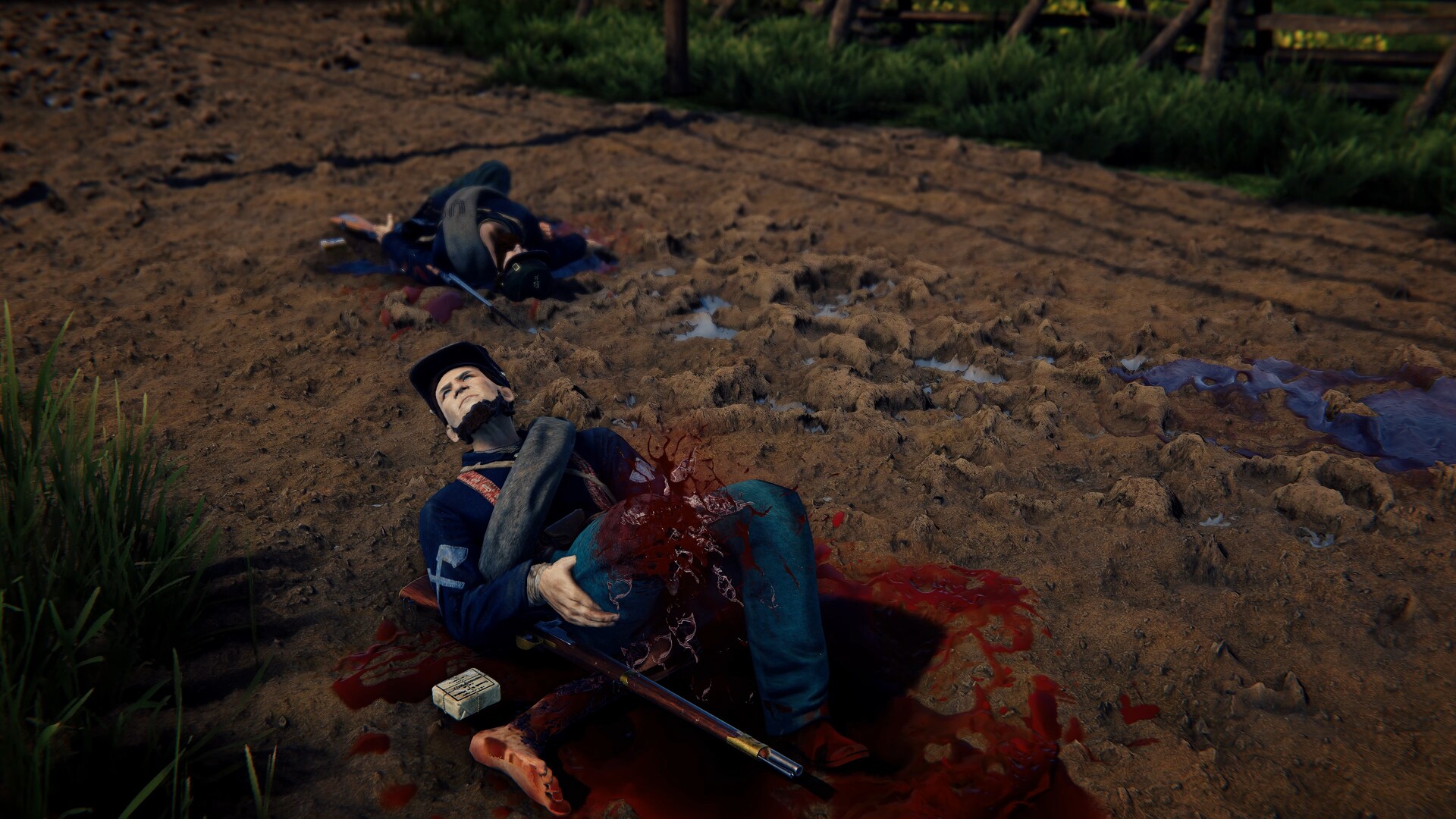 Battle Cry of Freedom: Blood &amp; Gore