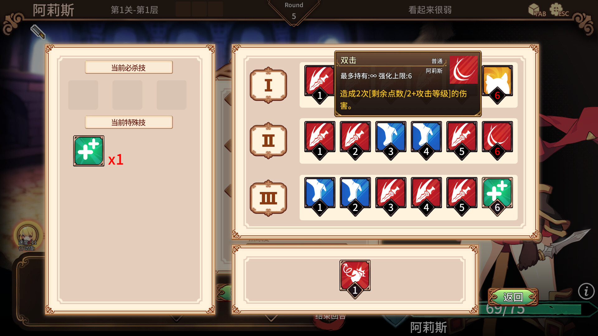Arena Story: Rouge And Princess Knight