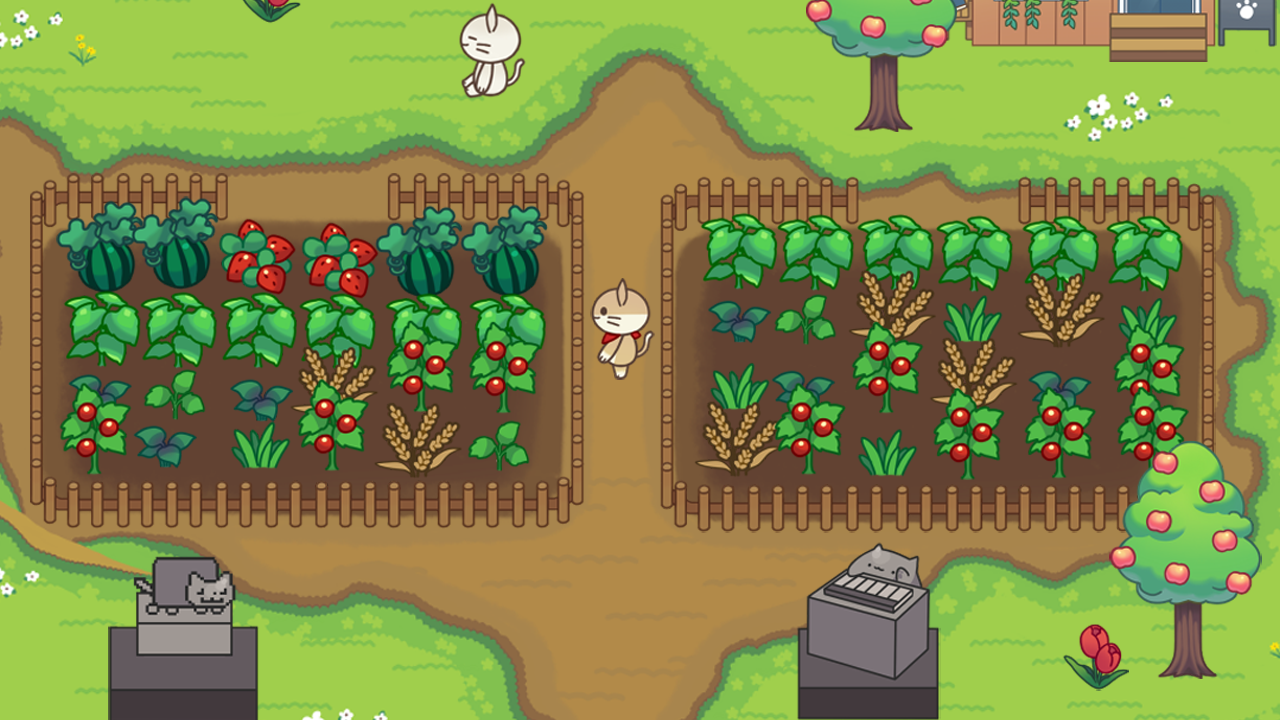 Cat Forest: Healing Camp