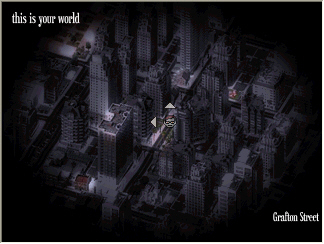 Beautiful Escape: Dungeoneer