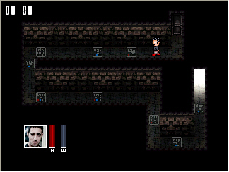 Beautiful Escape: Dungeoneer