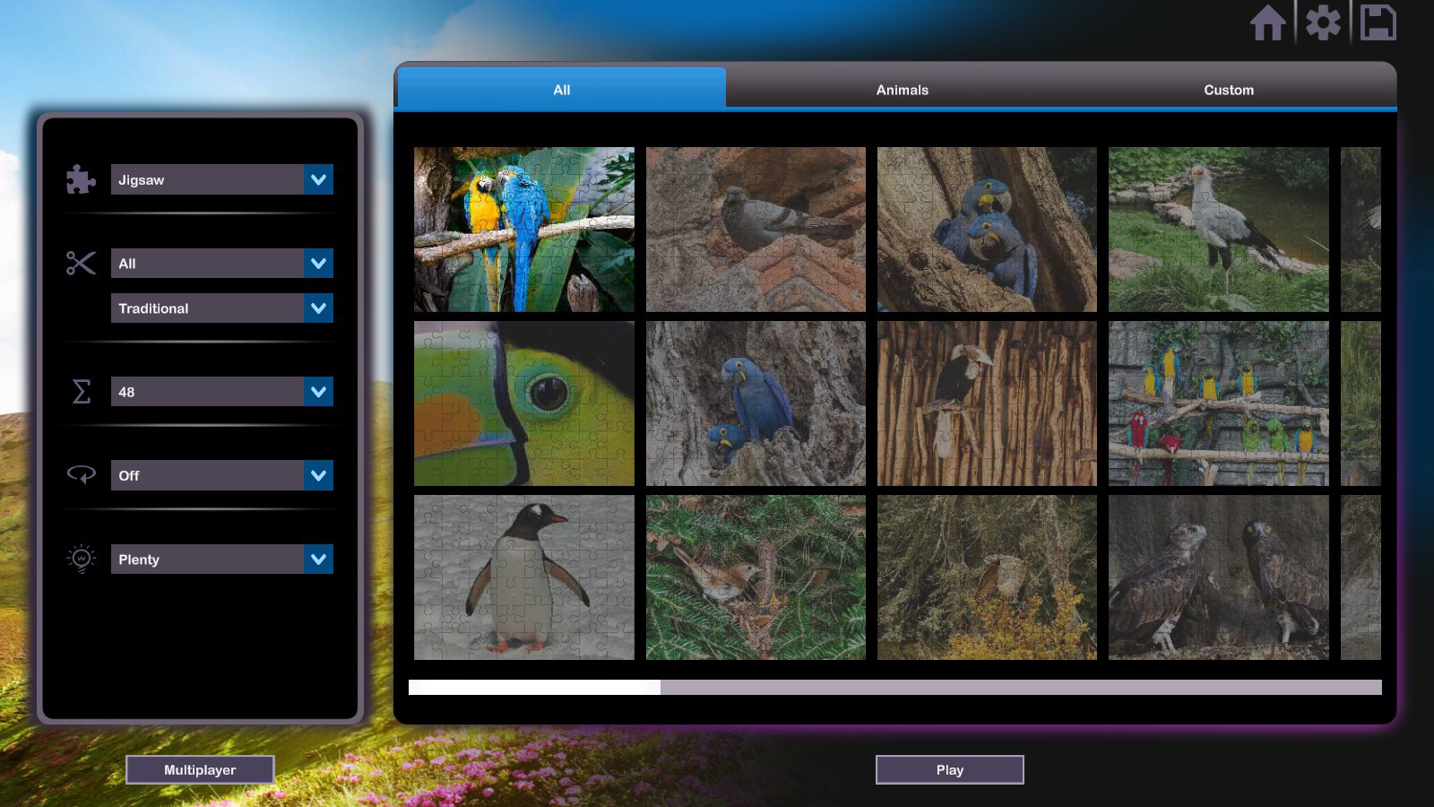 Let’s Play Jigsaw Puzzles: Birds