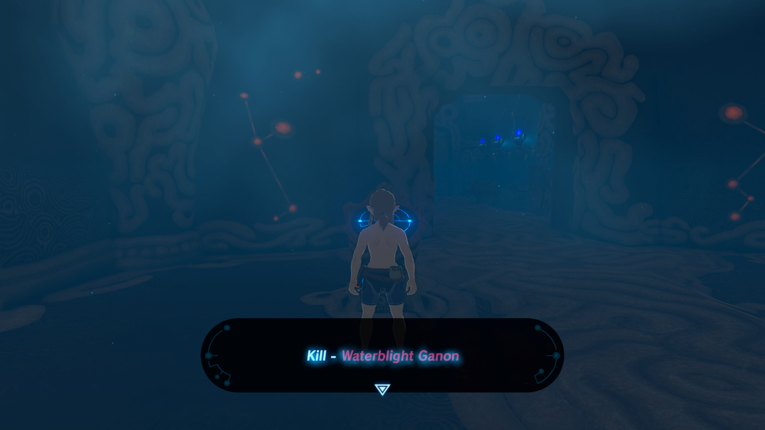 The Legend of Zelda: Breath of the Wild Randomizer