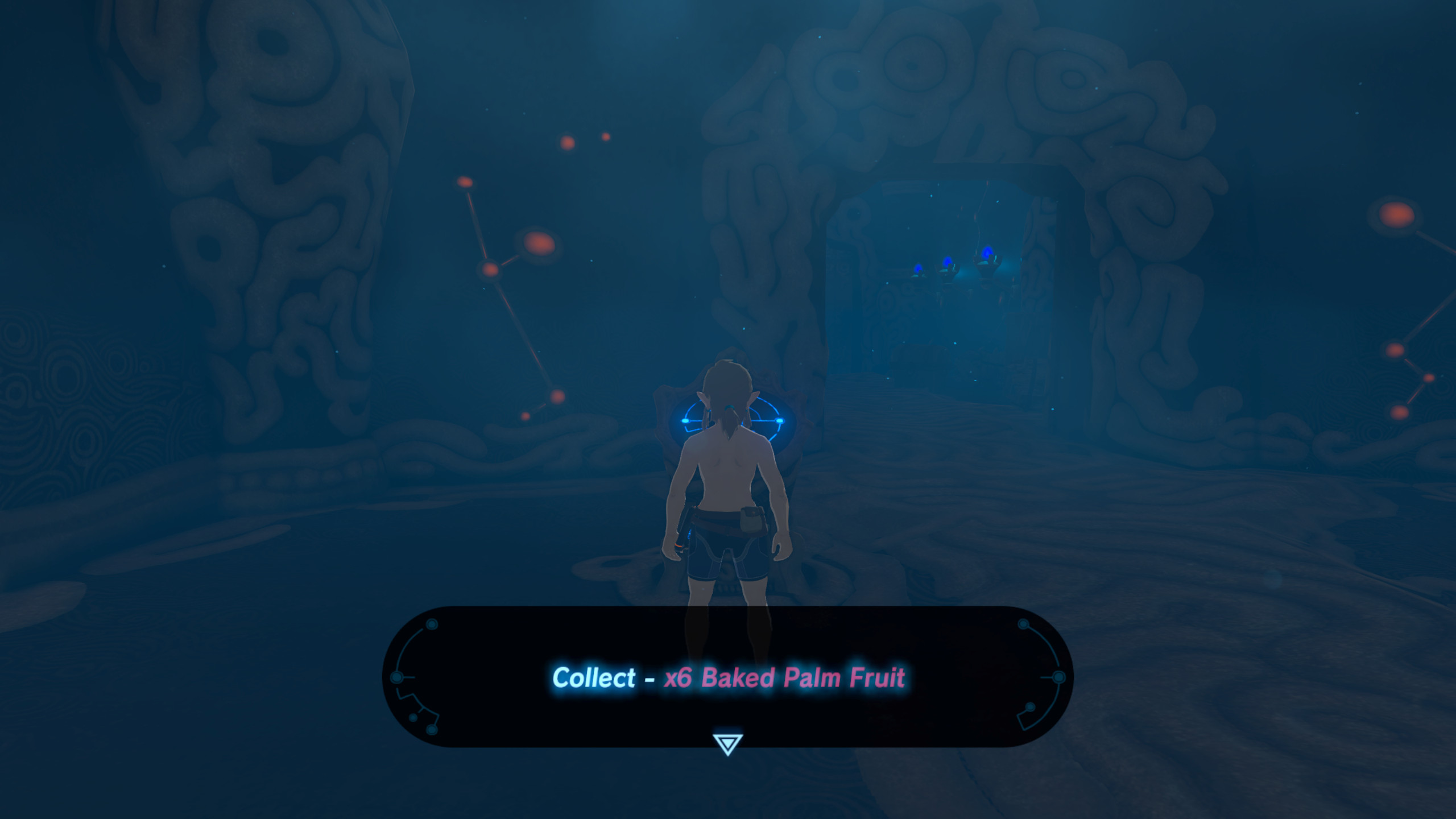 The Legend of Zelda: Breath of the Wild Randomizer