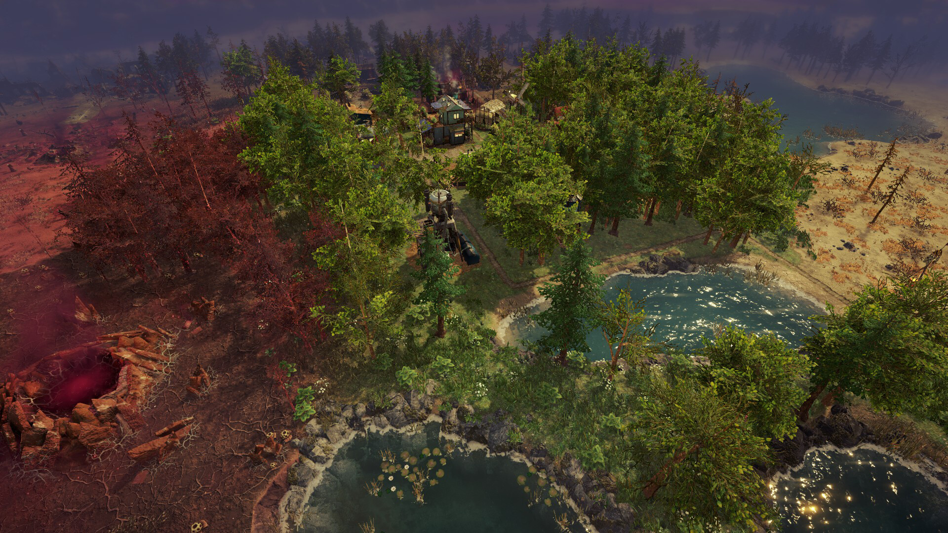 Surviving the Aftermath: Rebirth