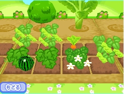 Mamegoma 3: Kawaii ga Ippai!