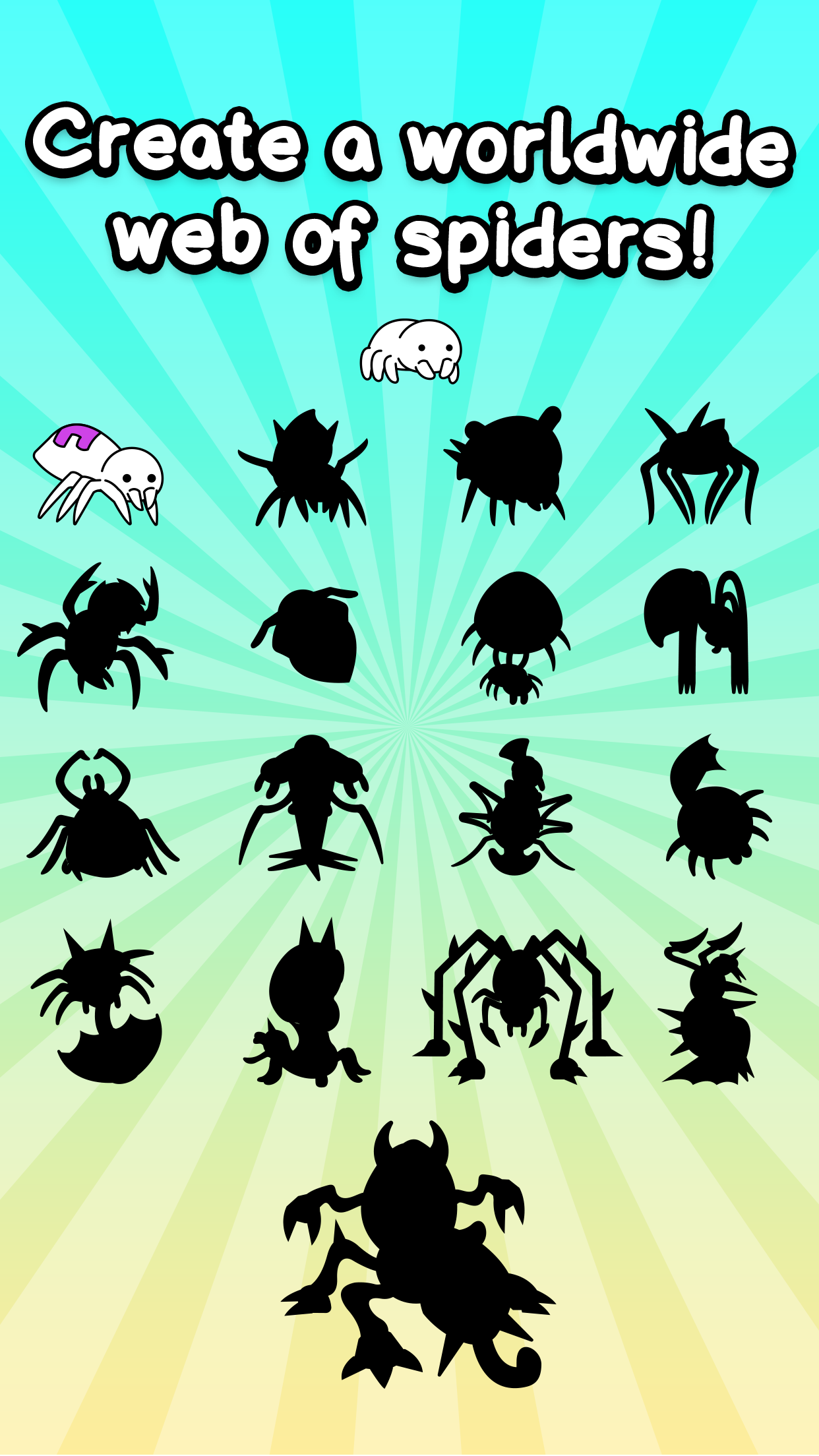 Spider Evolution