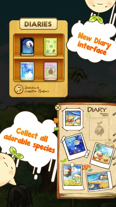 Mandora