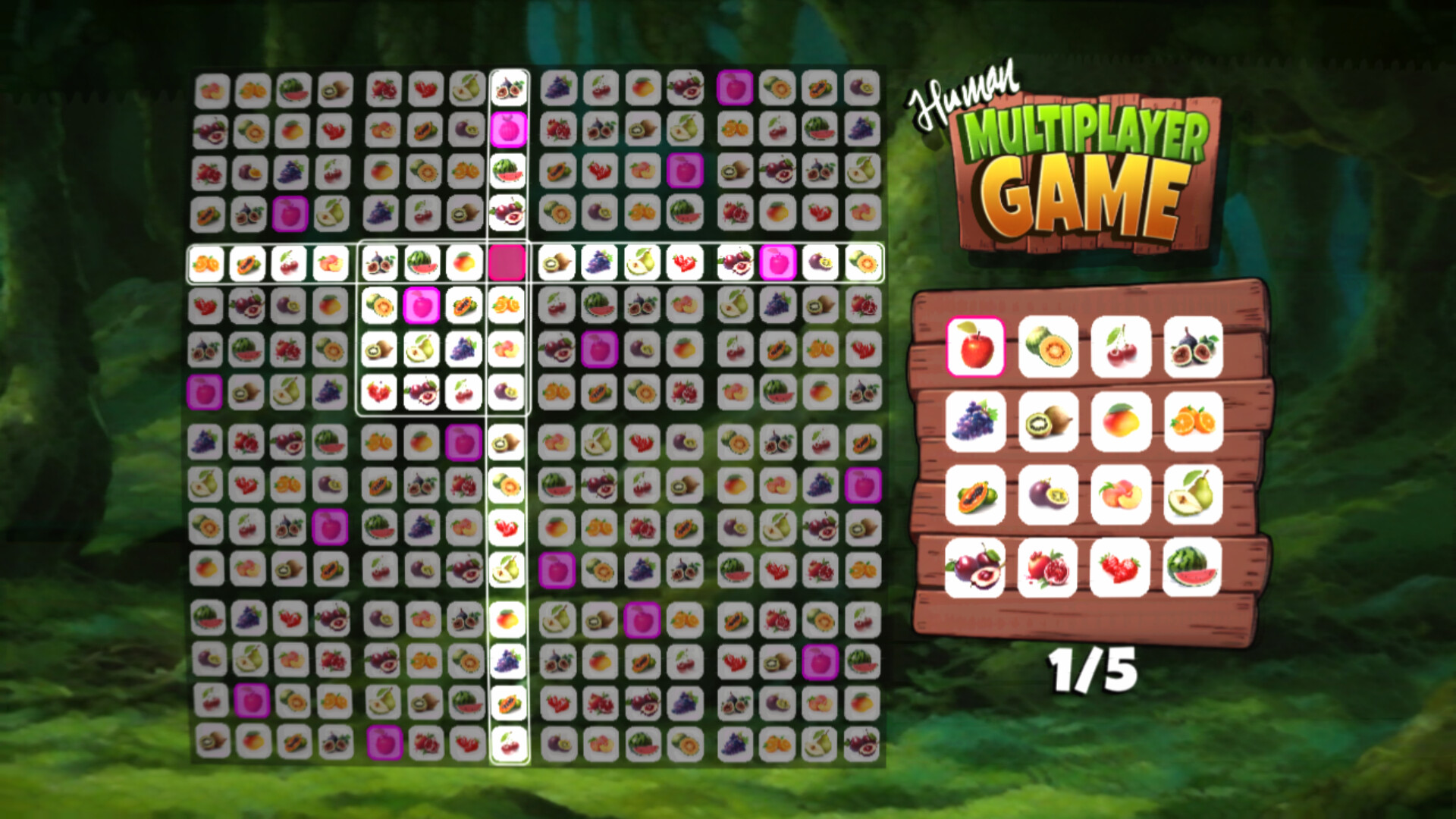 Human Multiplayer Game