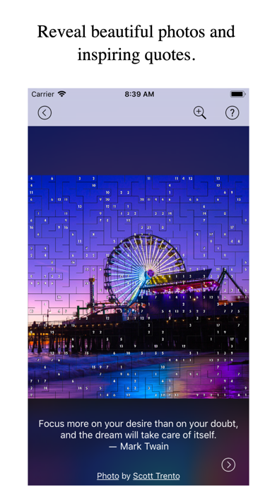 Pixel Puzzles