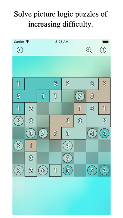 Pixel Puzzles