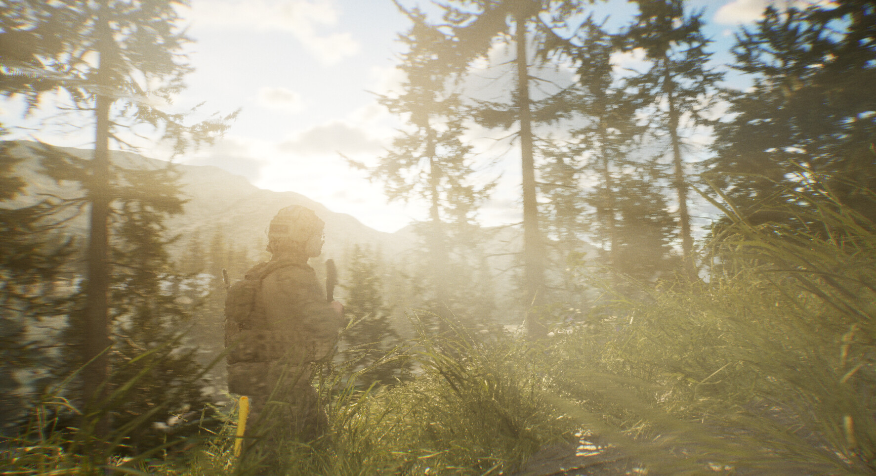 TWS: Training and War Simulation