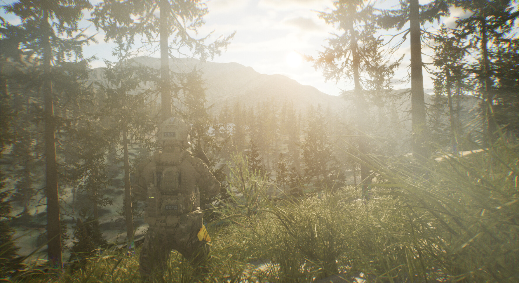 TWS: Training and War Simulation