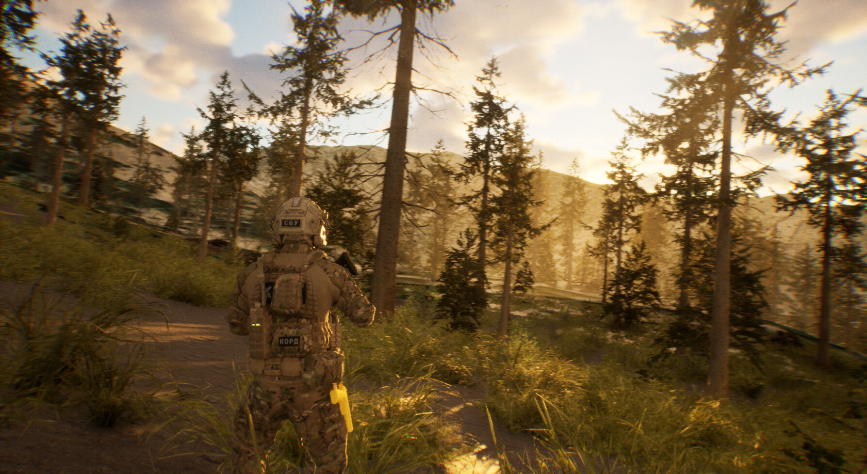 TWS: Training and War Simulation