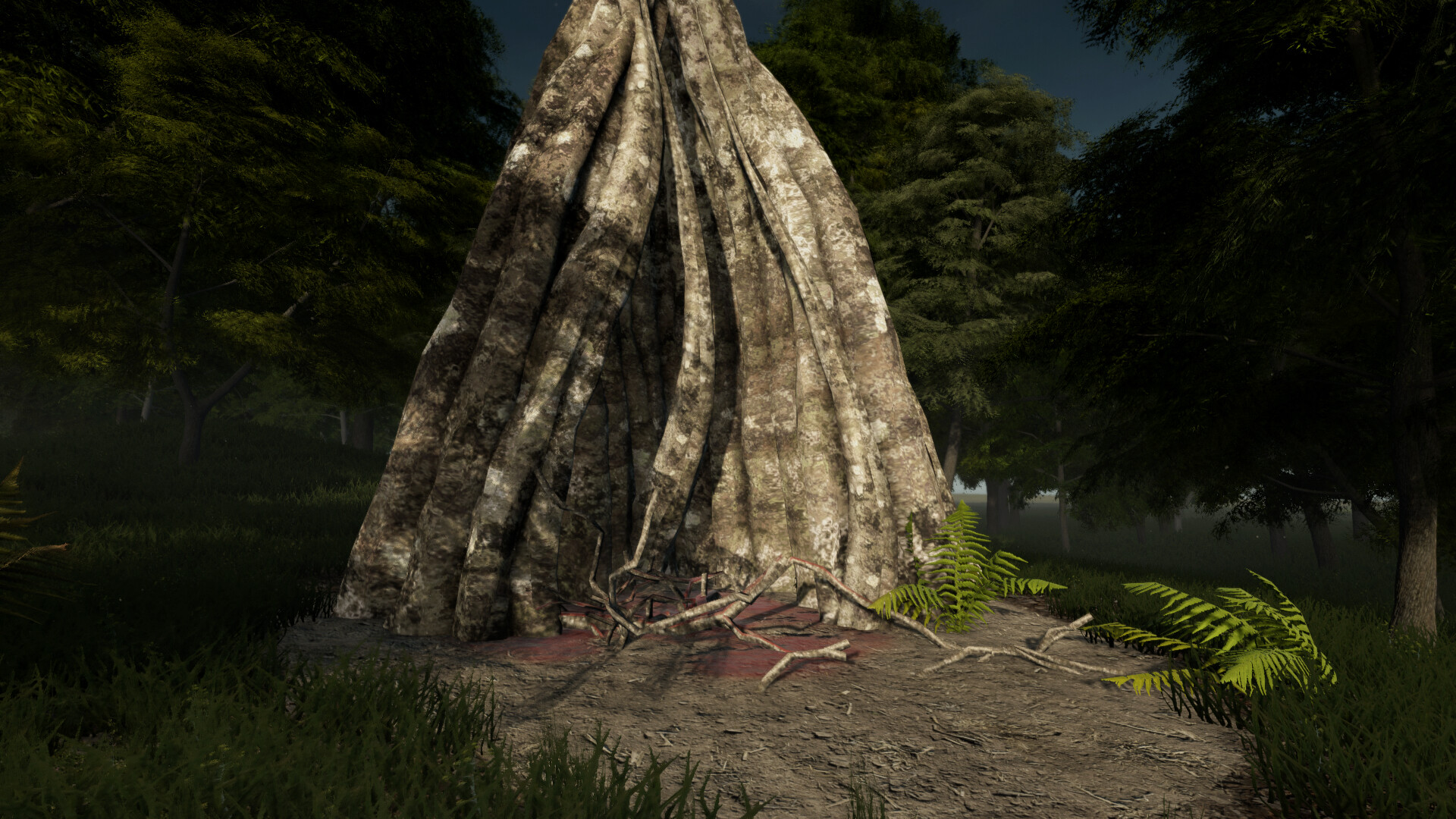 Dr. Emmerson’s Nocturnes