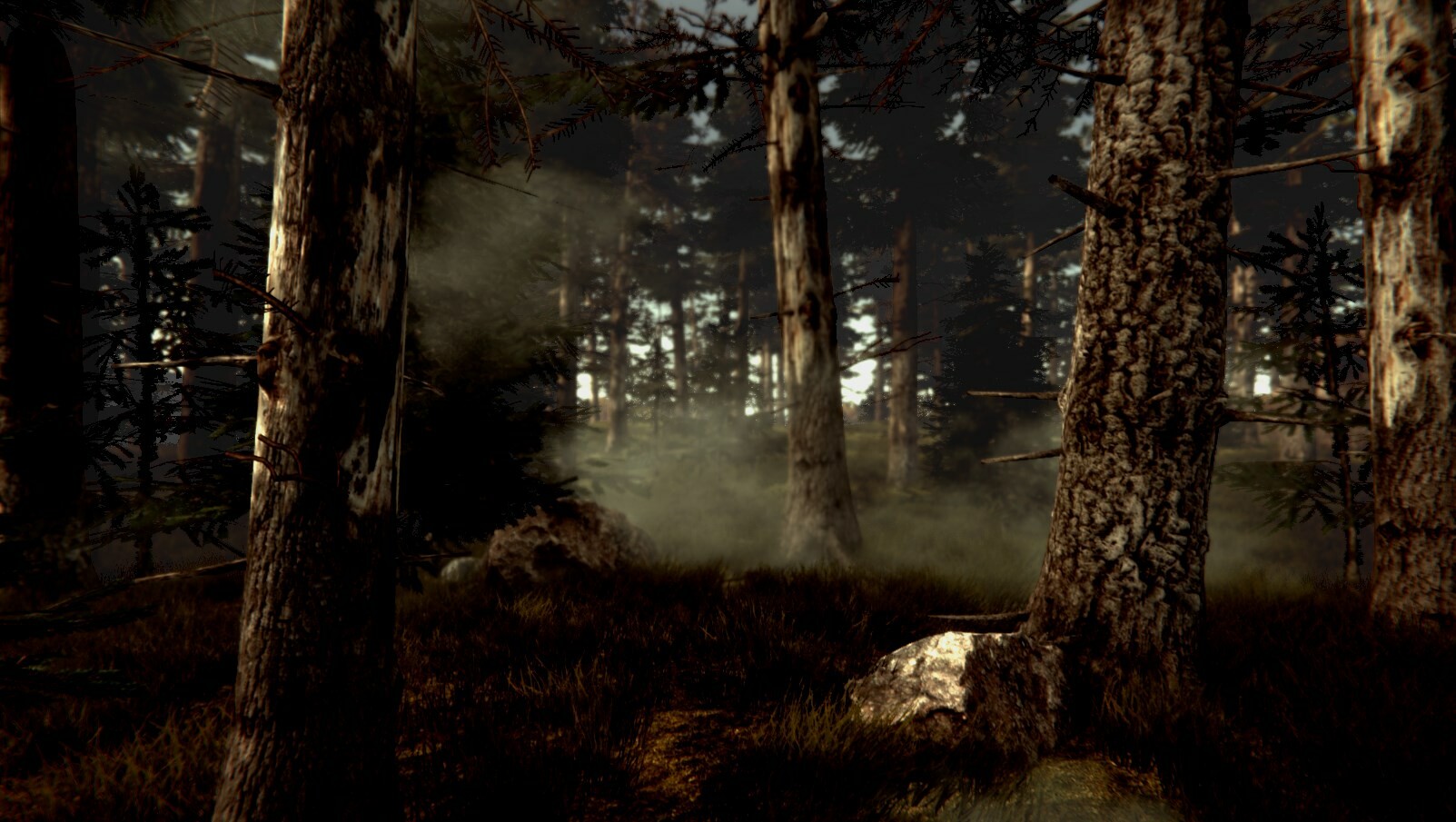 Dr. Emmerson’s Nocturnes