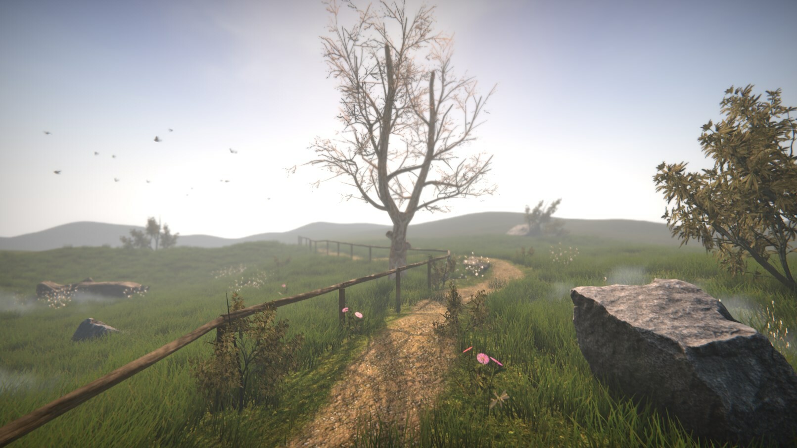 Dr. Emmerson’s Nocturnes