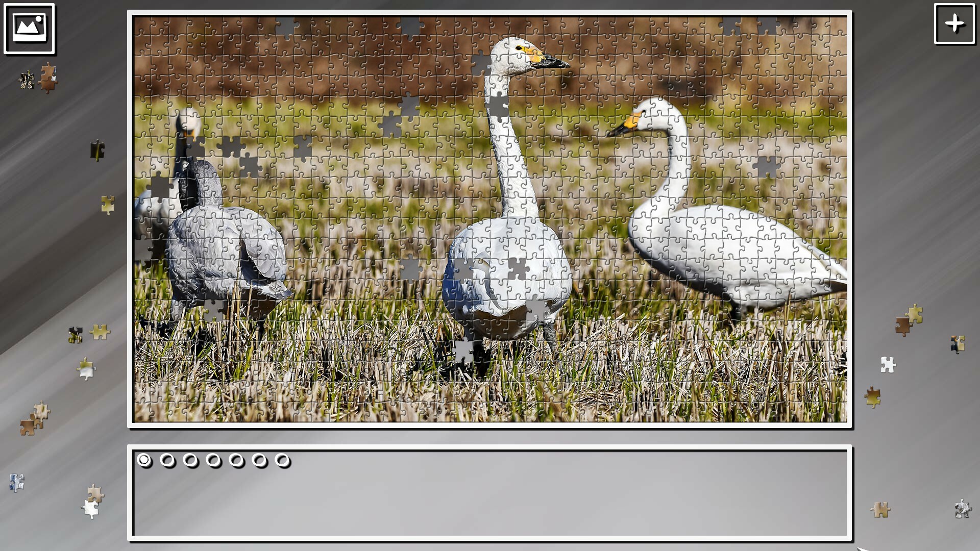 Super Jigsaw Puzzle: Generations – Random Animals 3