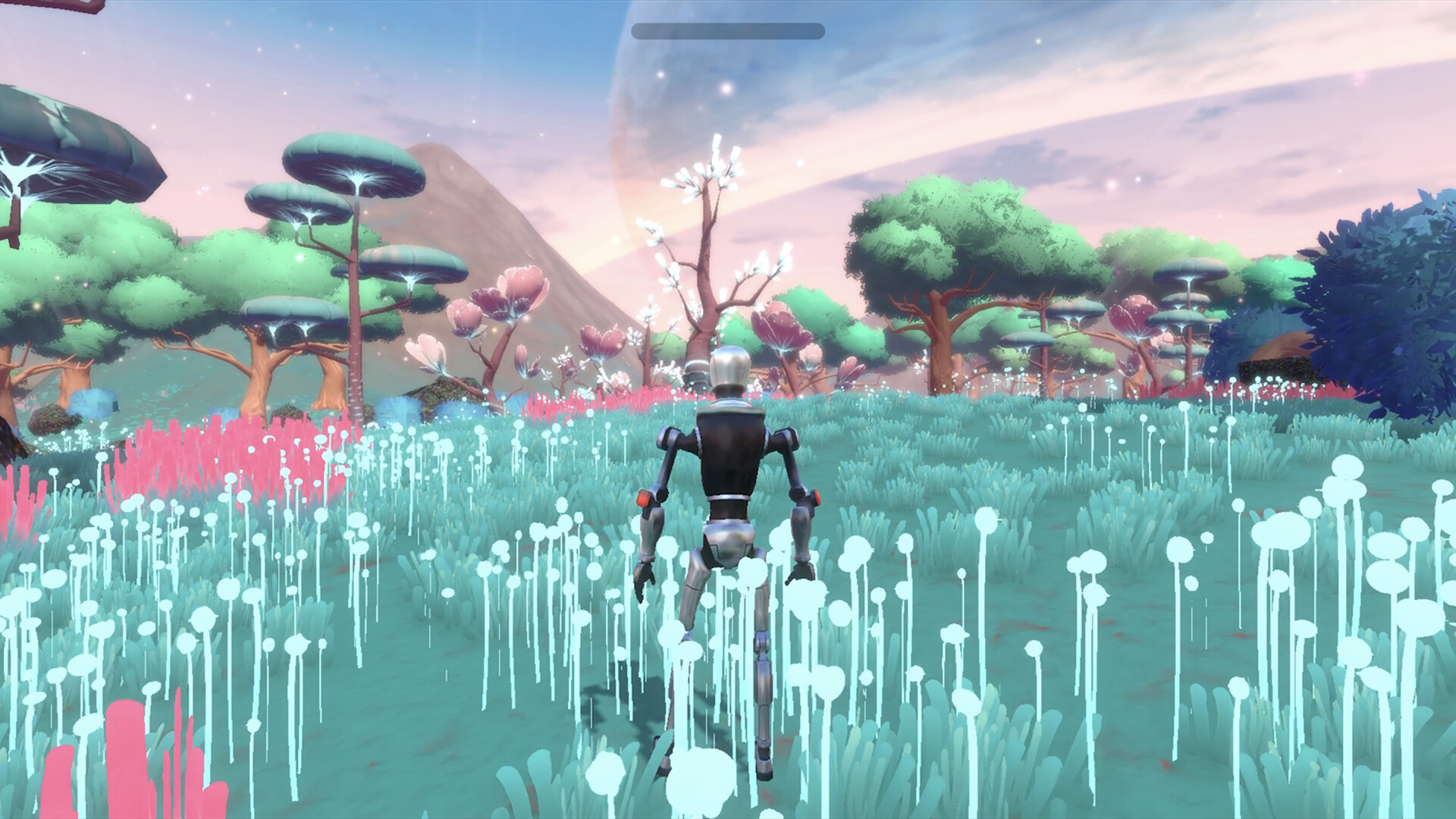 Mocaverse