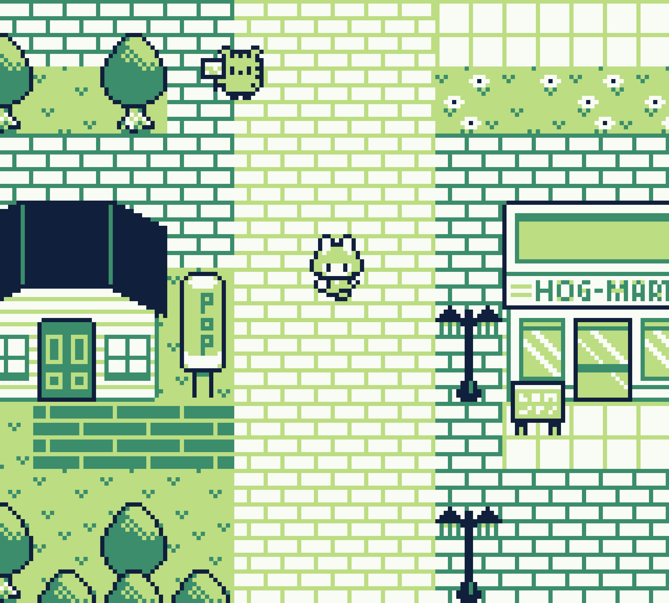 Melon Journey Pocket